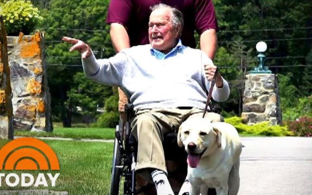 Former President Bush’s Service Animal “Sully” Gets Honored