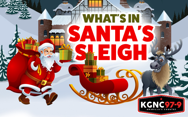 What's in Santa's Sleigh?  A New Gift Every Day!