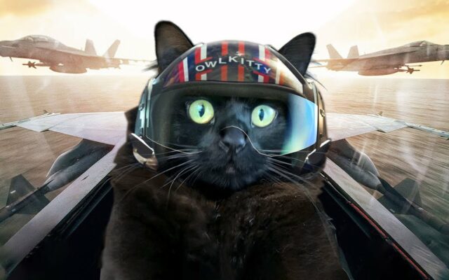 WATCH: Top Gun But There Is A Cat